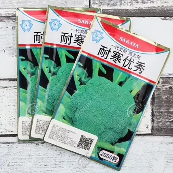 西兰花最新价格行情解析