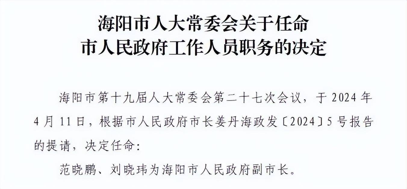 青岛人事任免名单更新，城市焕发新生机