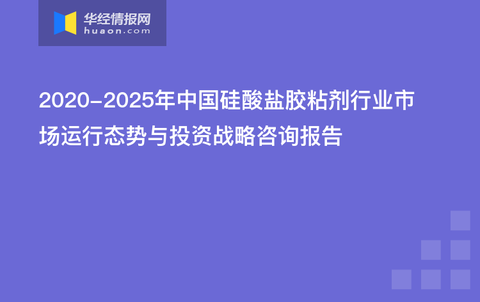 新澳2024最新资料大全,互动性执行策略评估_BT35.925