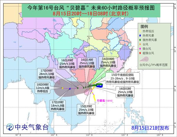 雷州台风最新动态，全力应对，确保安全