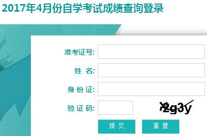 揭秘赛马运动的魅力与激情，最新开马结果查询2017报告出炉